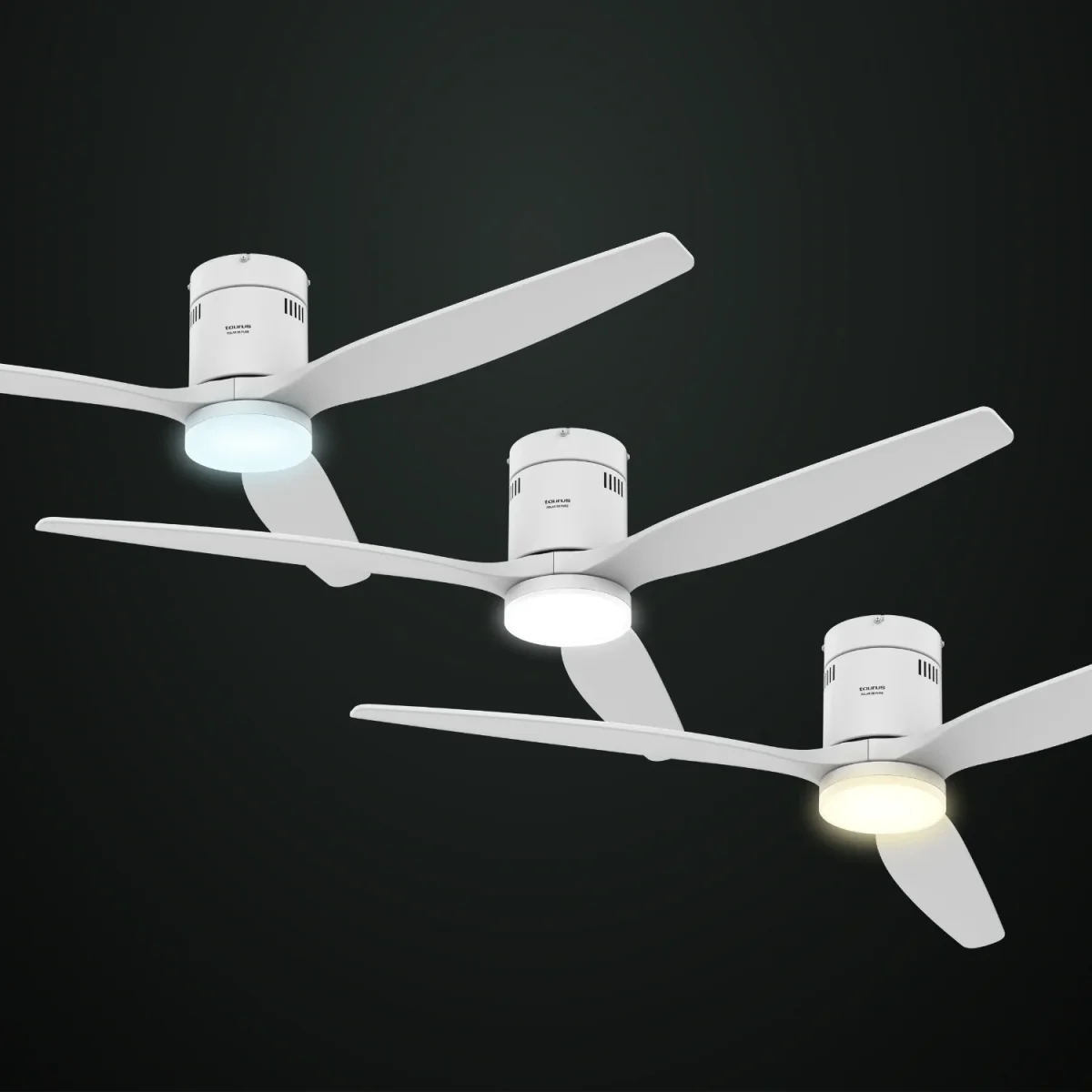 POLAR 3B PURE – Image 3